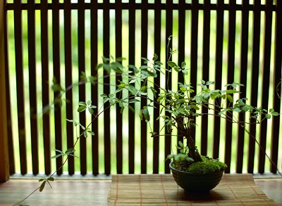 使用教材